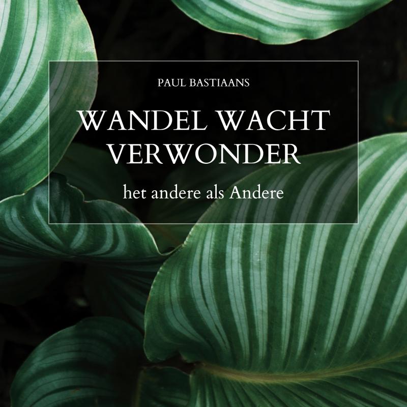 Omslag van Wandel Wacht Verwonder