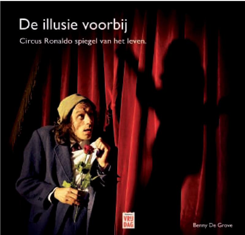 Omslag van De illusie voorbij