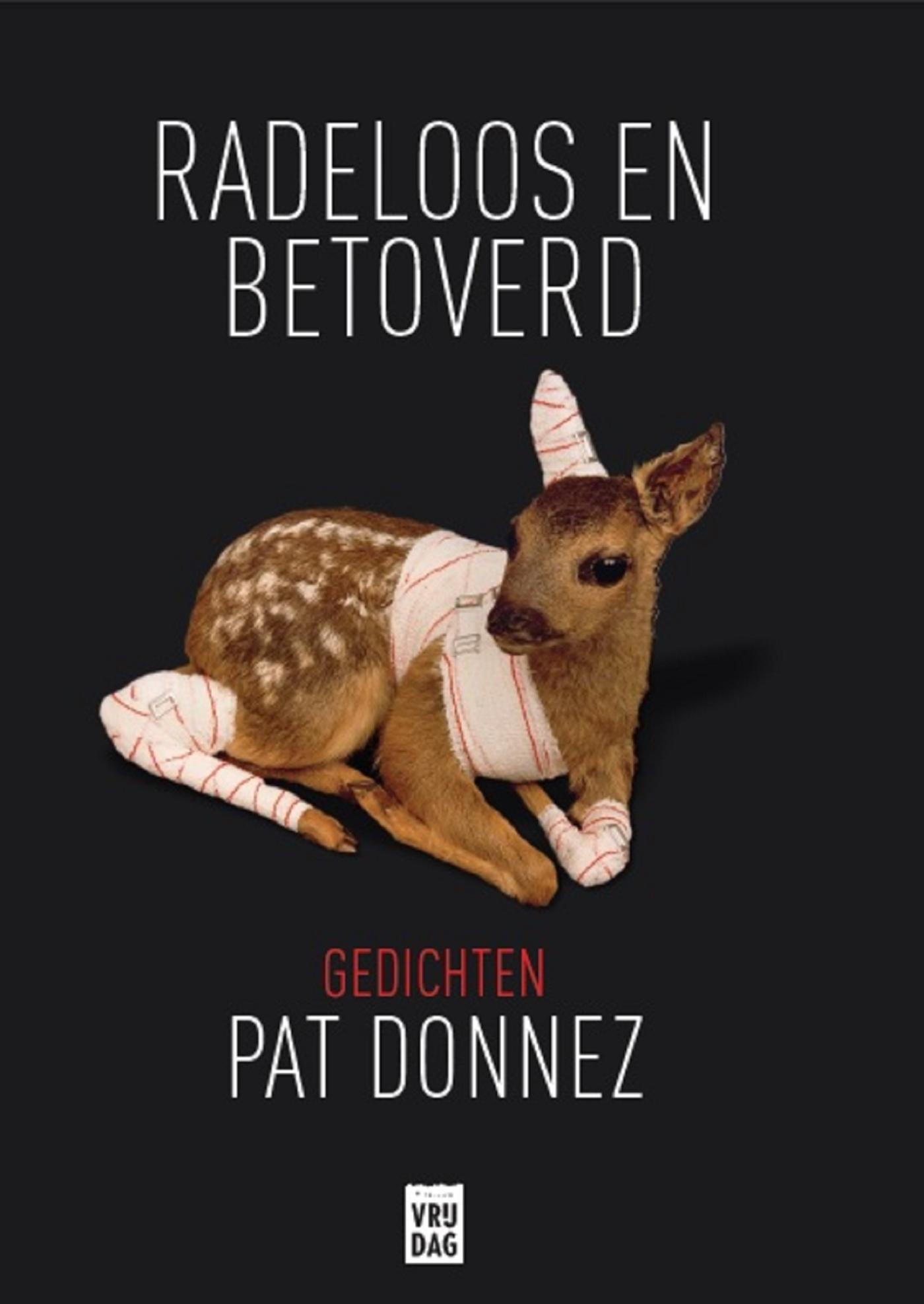Omslag van Radeloos en betoverd