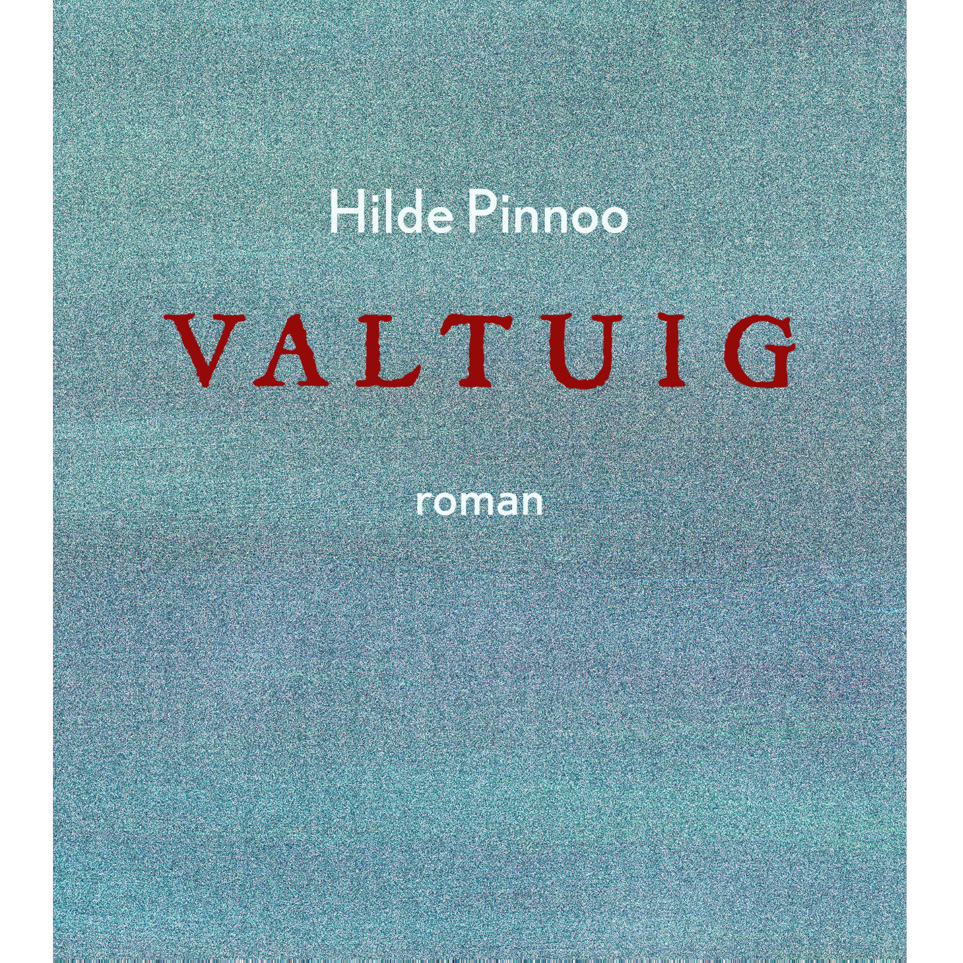 Omslag van Valtuig