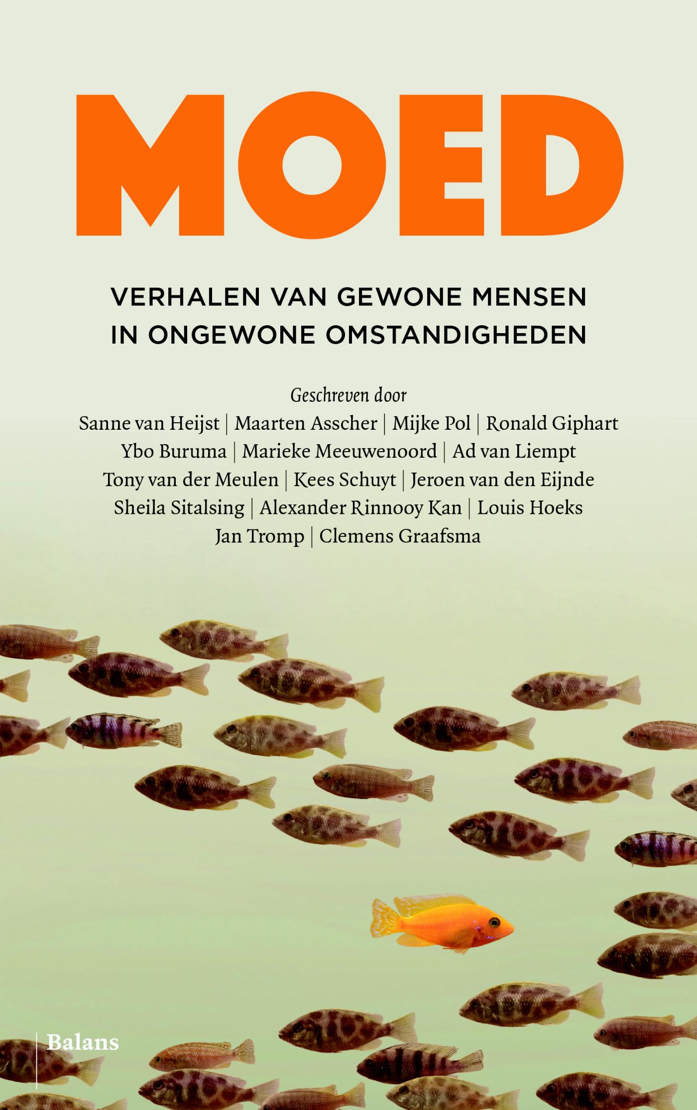 Omslag van Moedige mensen