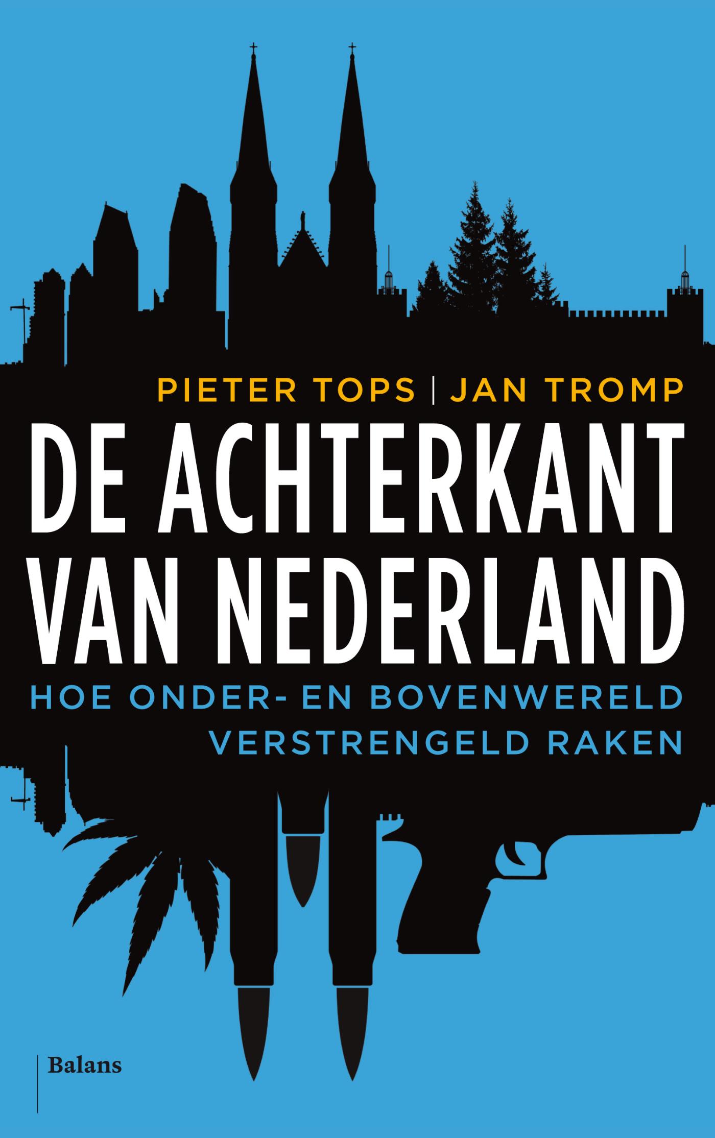 Omslag van De achterkant van Nederland