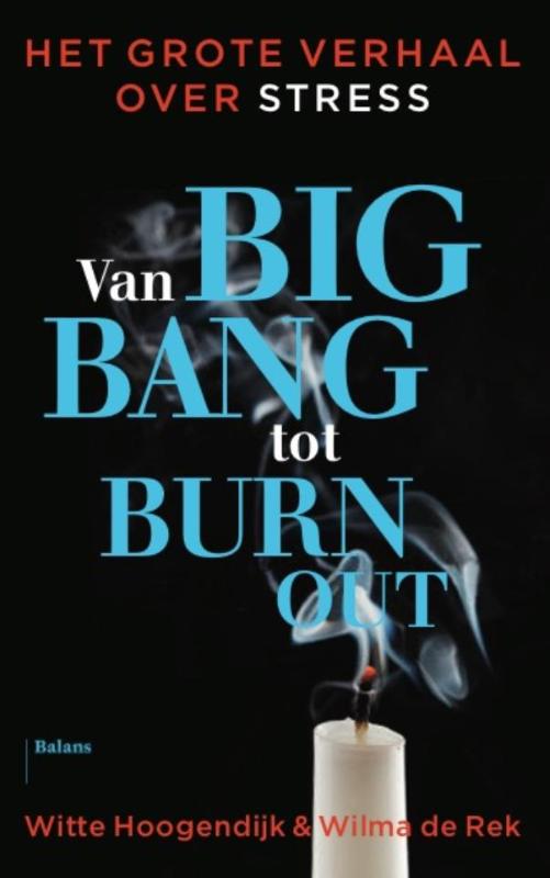 Omslag van Van big bang tot burn-out