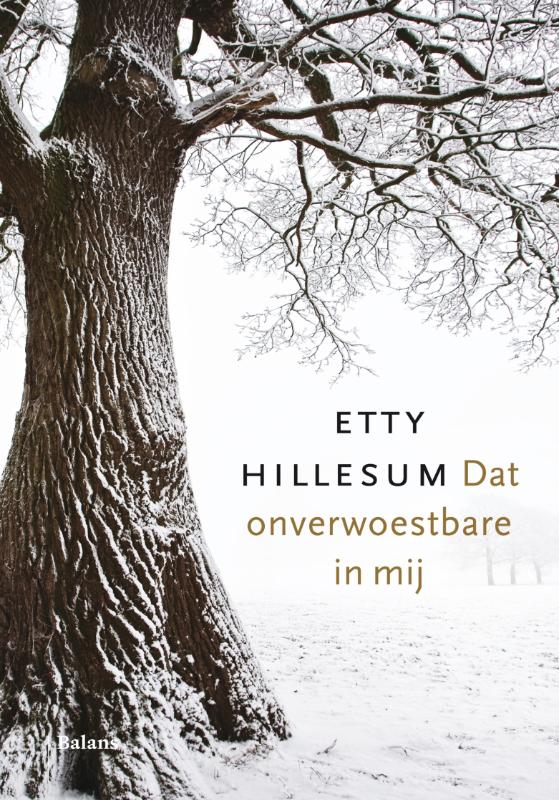 Omslag van Dat onverwoestbare in mij
