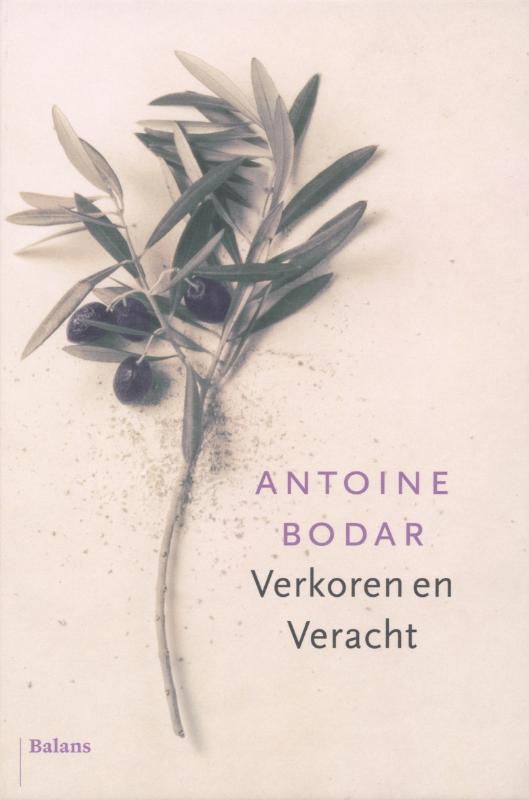 Omslag van Verkoren en veracht