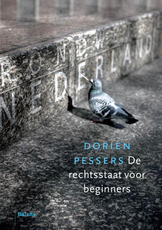 Omslag van De rechtsstaat voor beginners
