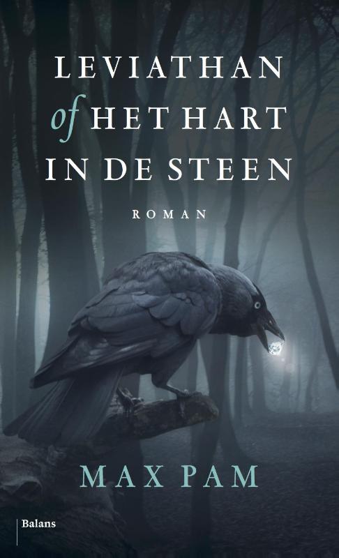 Omslag van Leviathan of Het hart in de steen