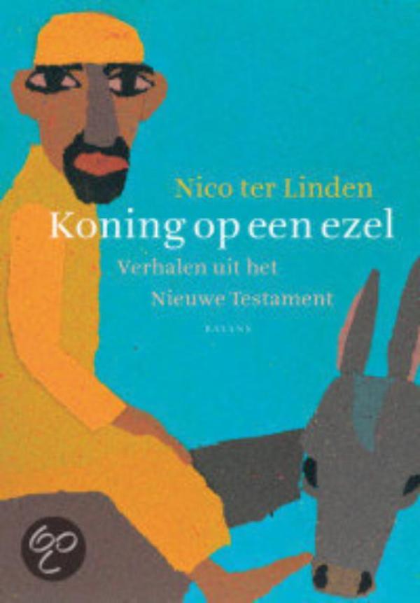 Omslag van Koning op een ezel