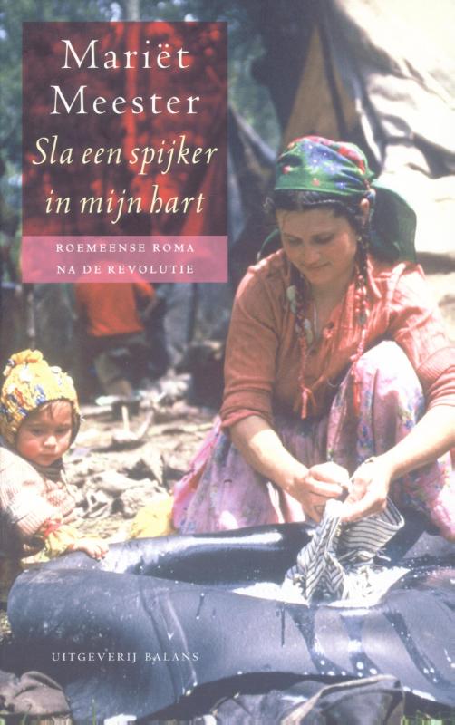 Omslag van Sla een spijker in mijn hart