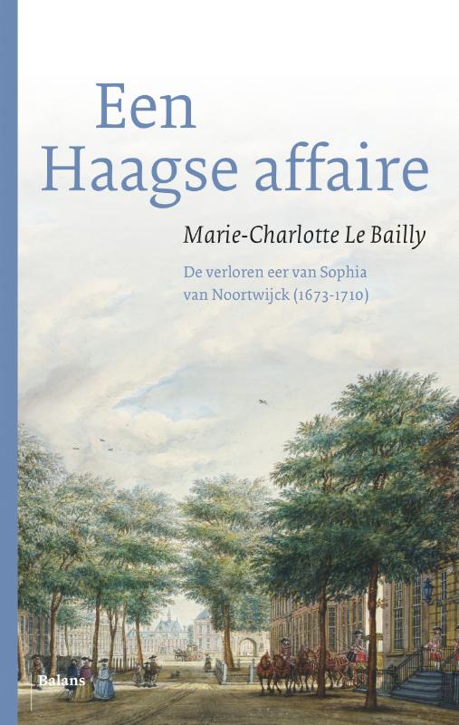 Omslag van Een Haagse affaire