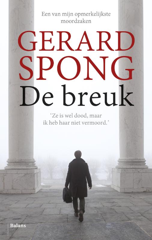 Omslag van De breuk