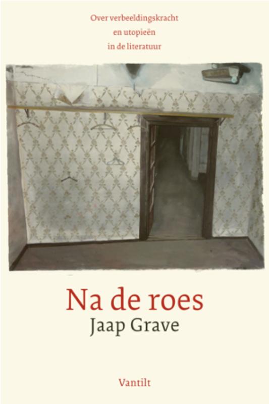 Omslag van Na de roes