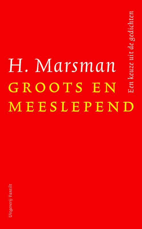 Omslag van Groots en meeslepend