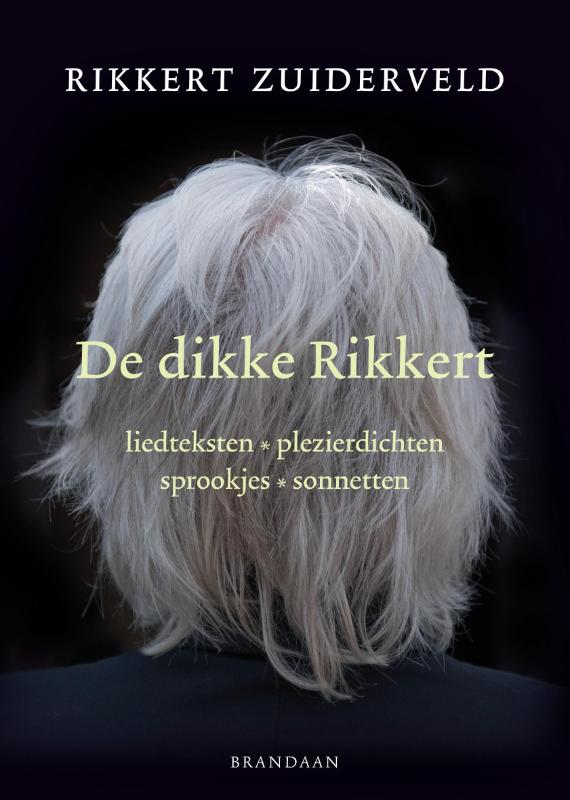 Omslag van De dikke Rikkert