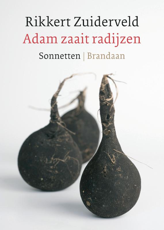 Omslag van Adam zaait radijzen