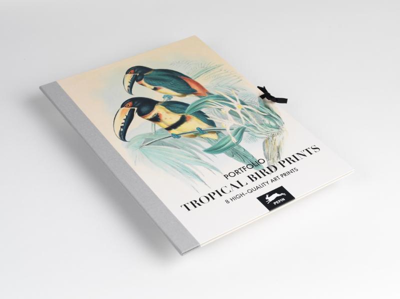 Omslag van Tropical Bird Prints