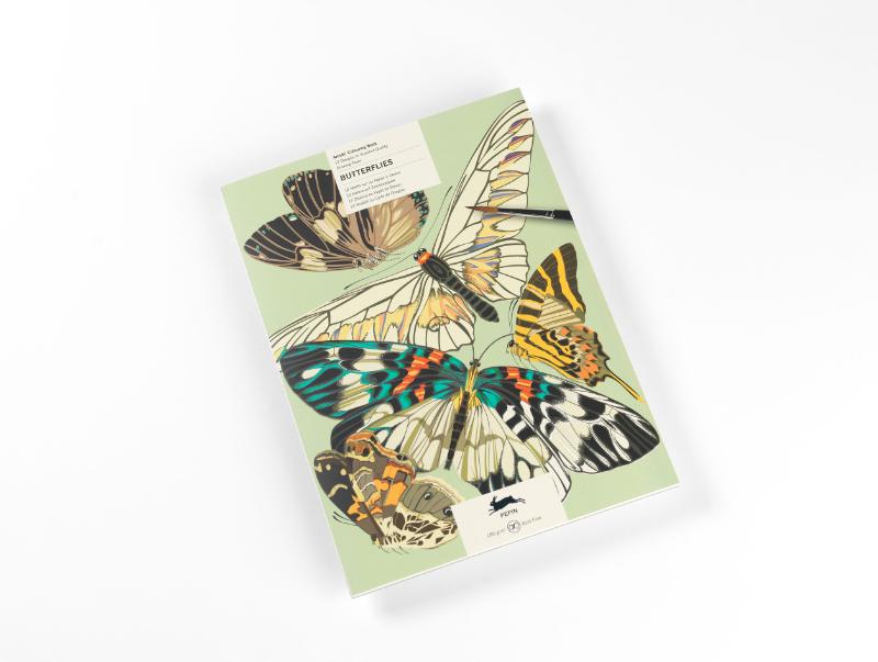 Omslag van Butterflies