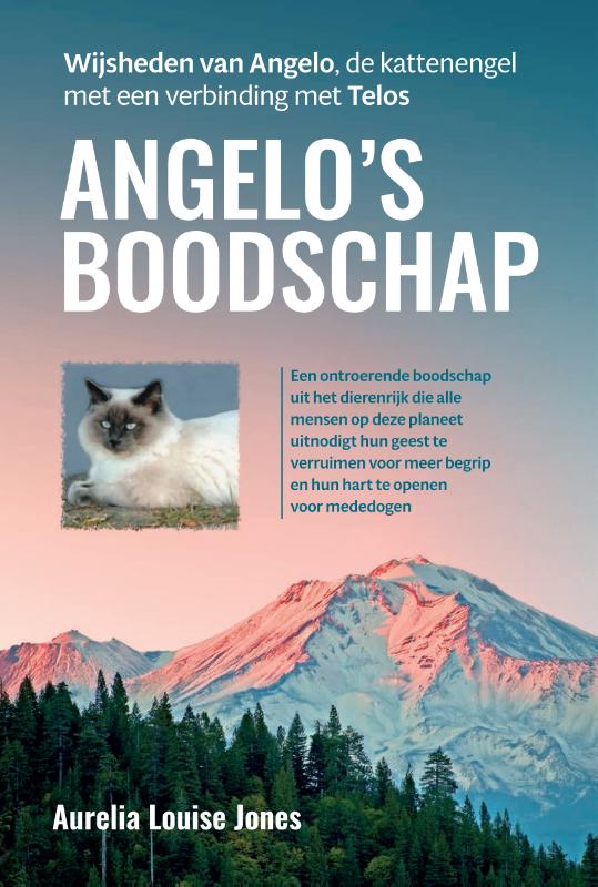 Omslag van Angelo’s boodschap