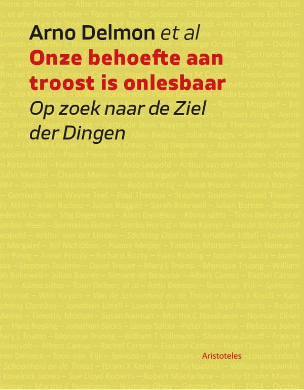 Omslag van Onze behoefte aan troost is onlesbaar