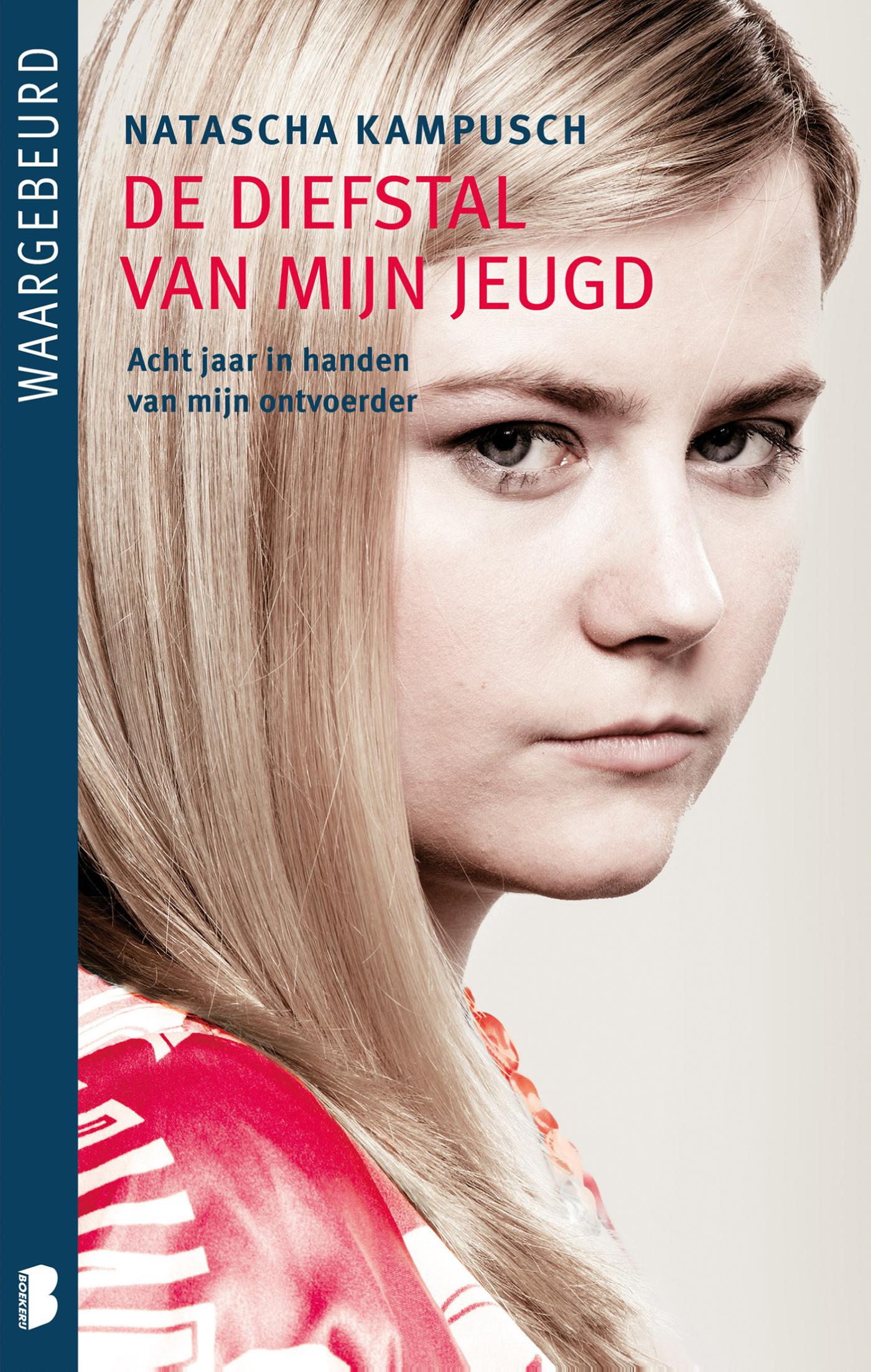 Omslag van De diefstal van mijn jeugd