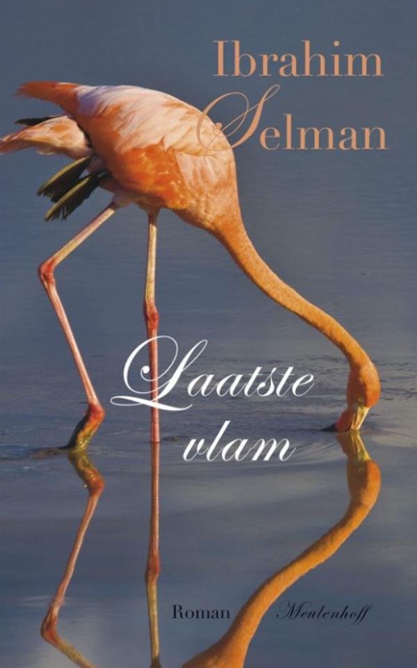 Omslag van Laatste vlam