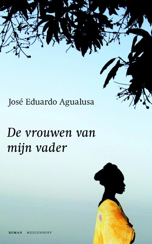 Omslag van De vrouwen van mijn vader