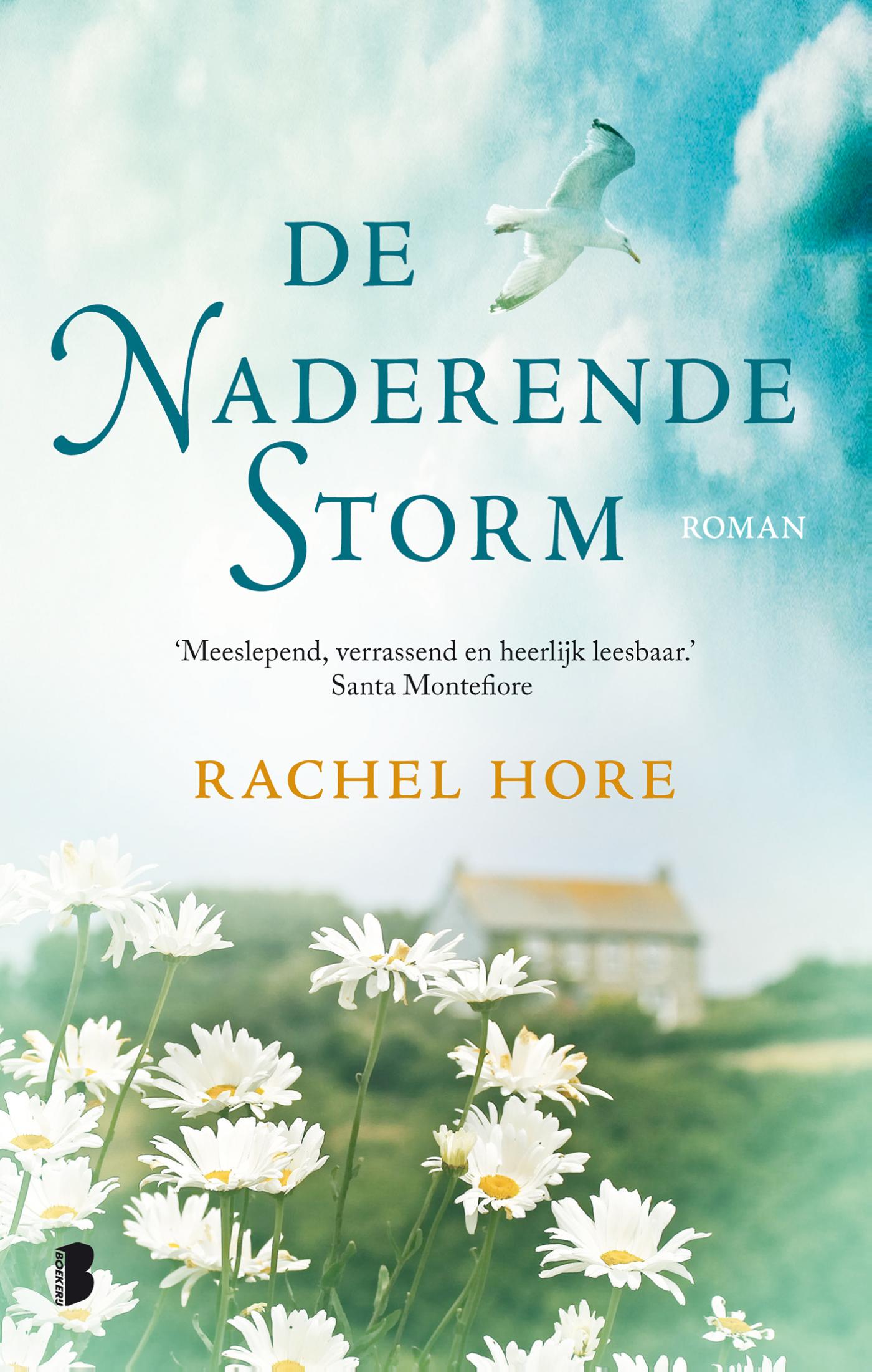 Omslag van De naderende storm