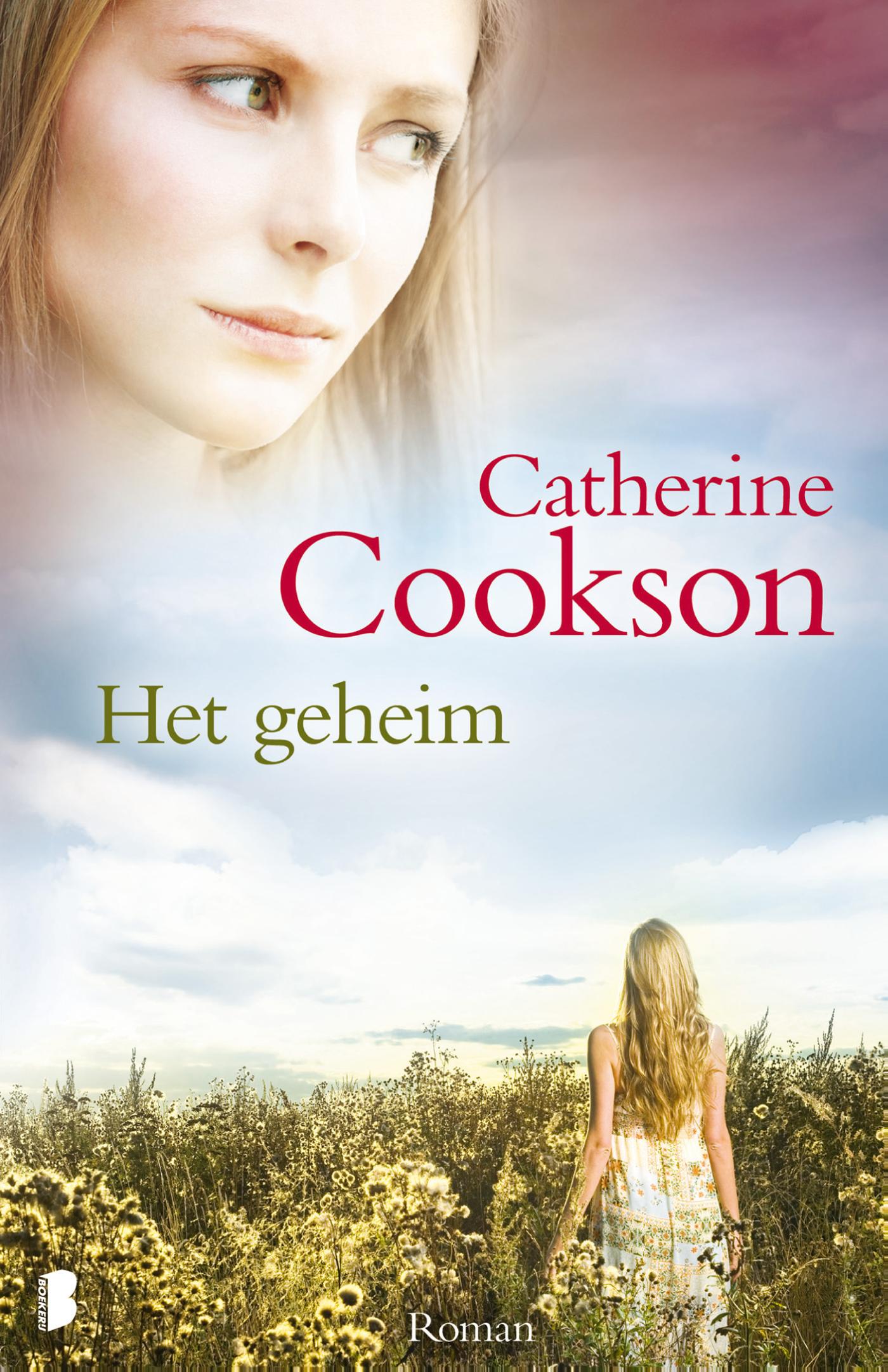 Omslag van Het geheim