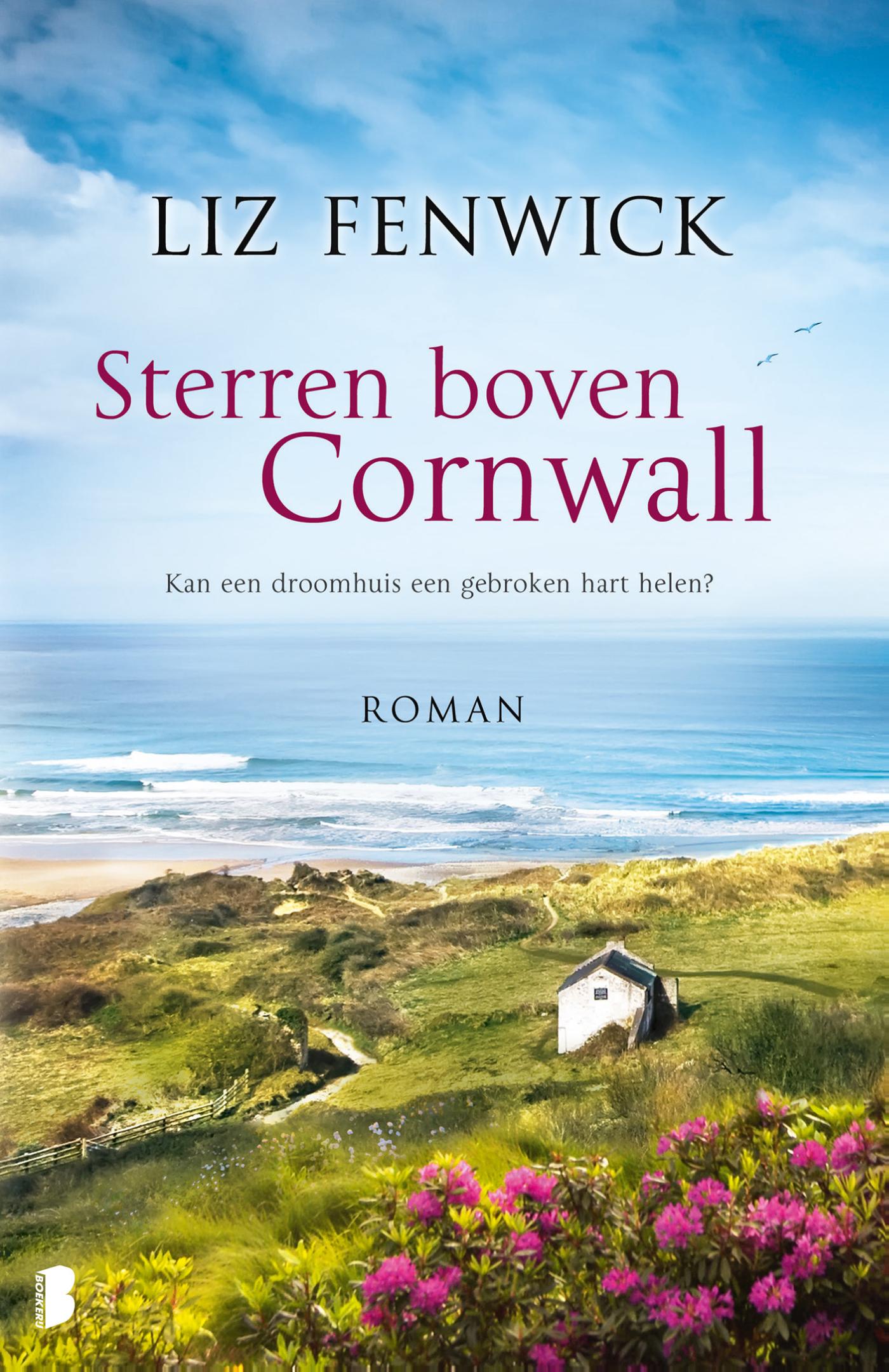 Omslag van Sterren boven Cornwall