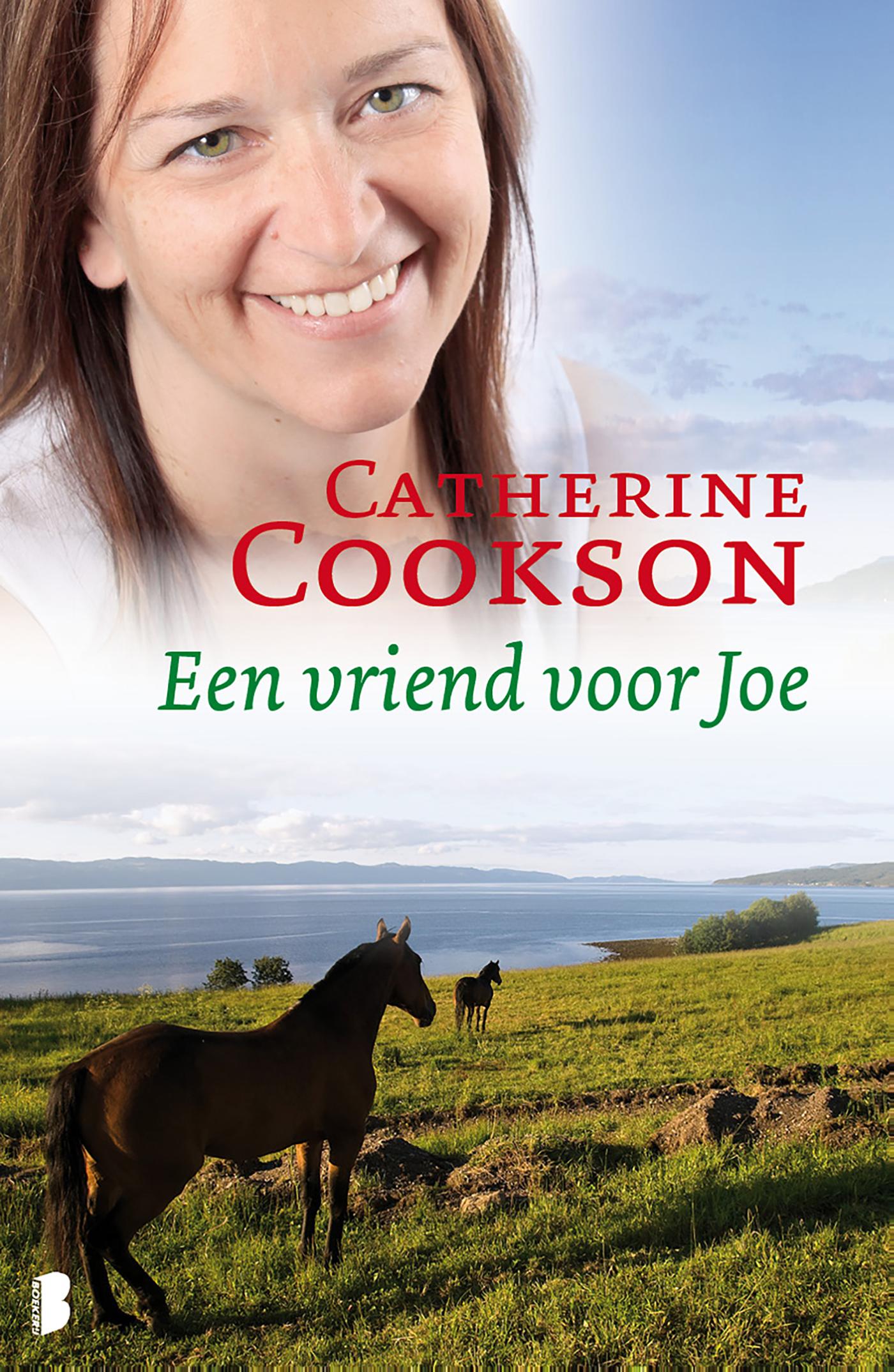 Omslag van Een vriend voor Joe