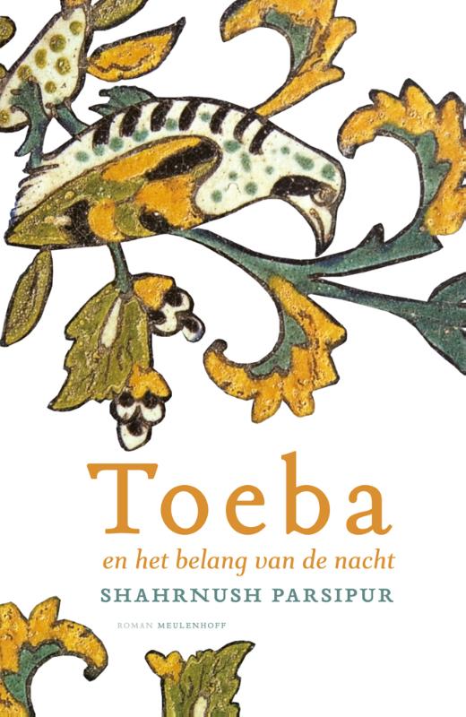 Omslag van Toeba en het belang van de nacht