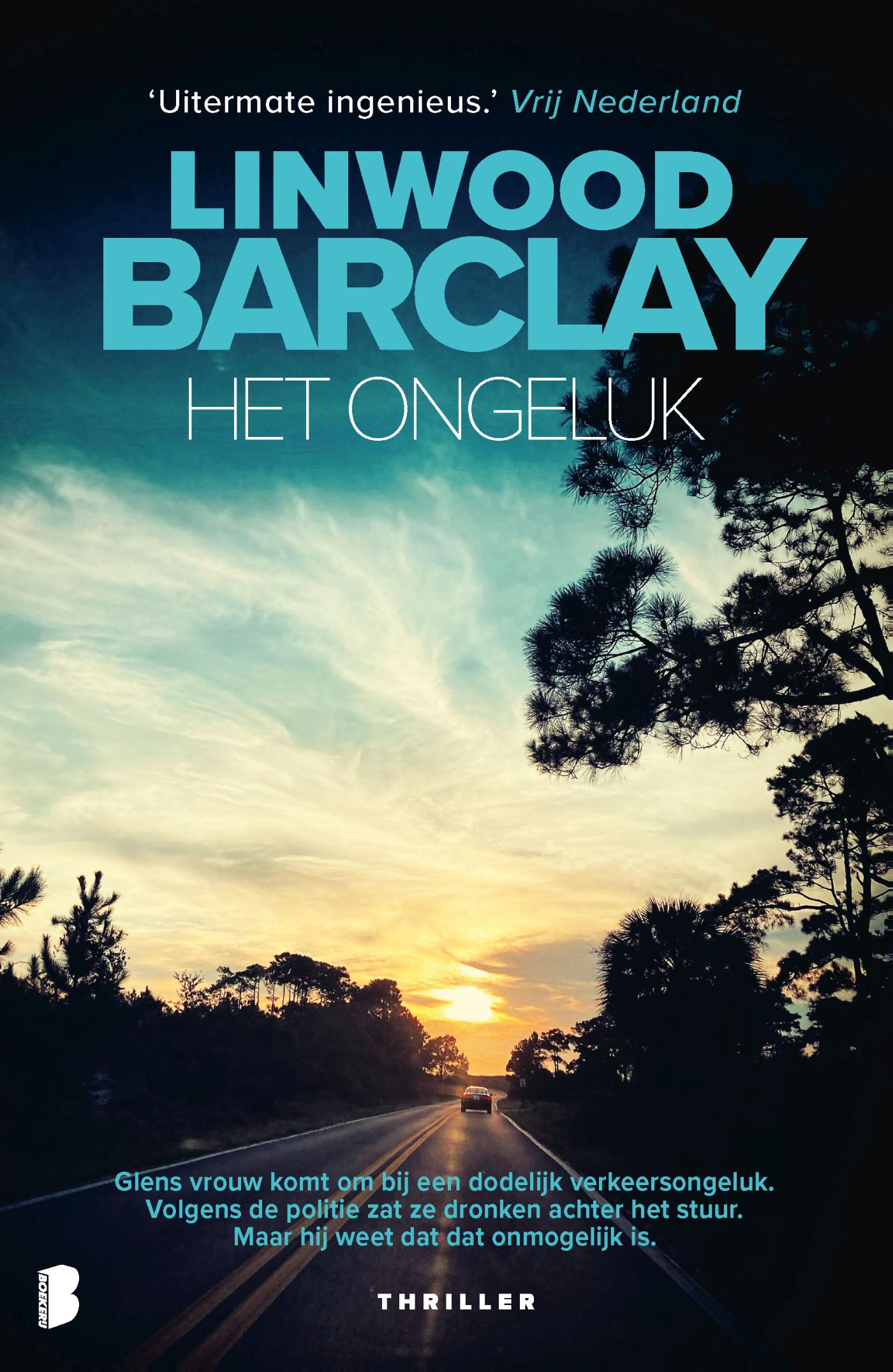 Omslag van Het ongeluk