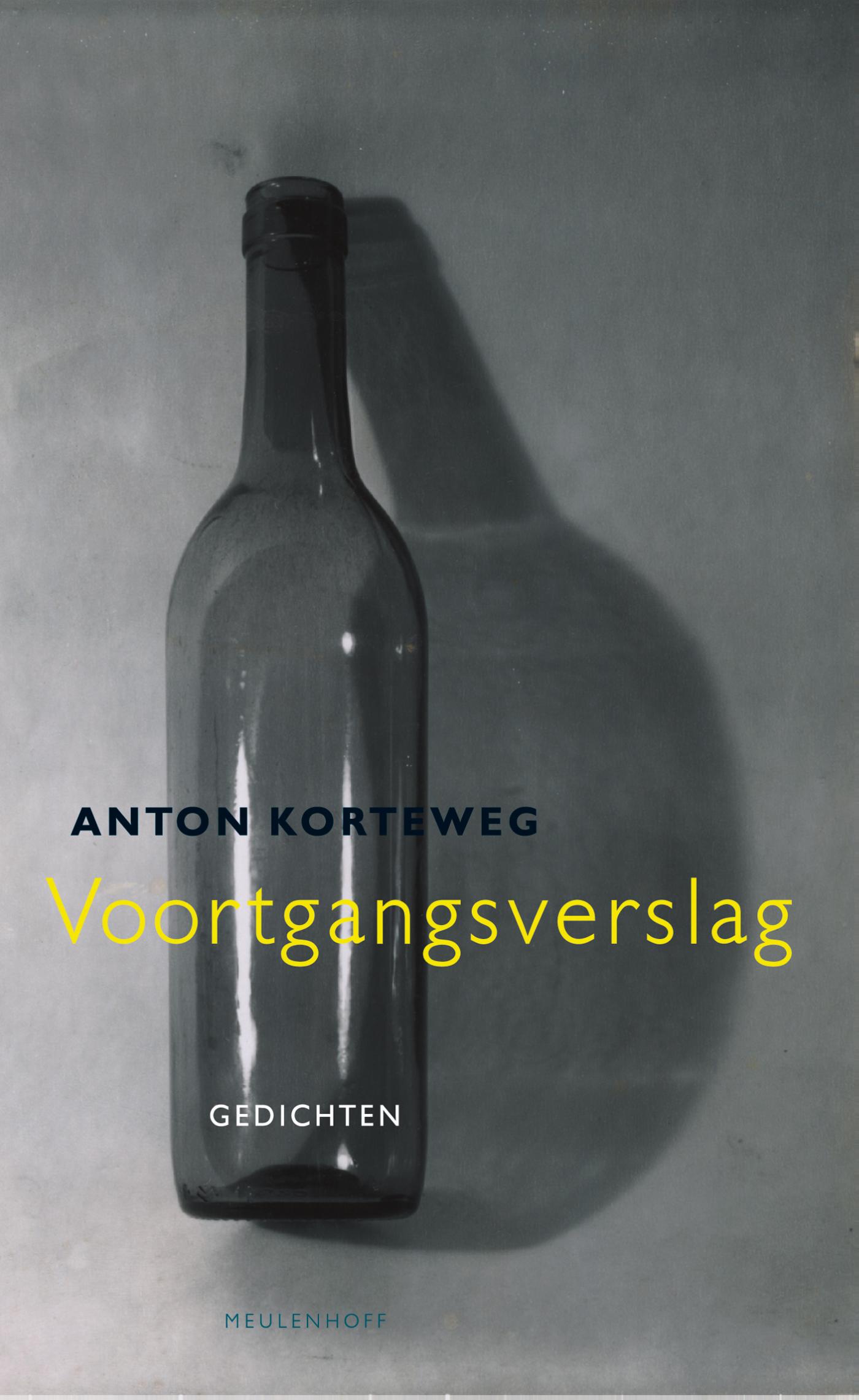 Omslag van Voortgangsverslag