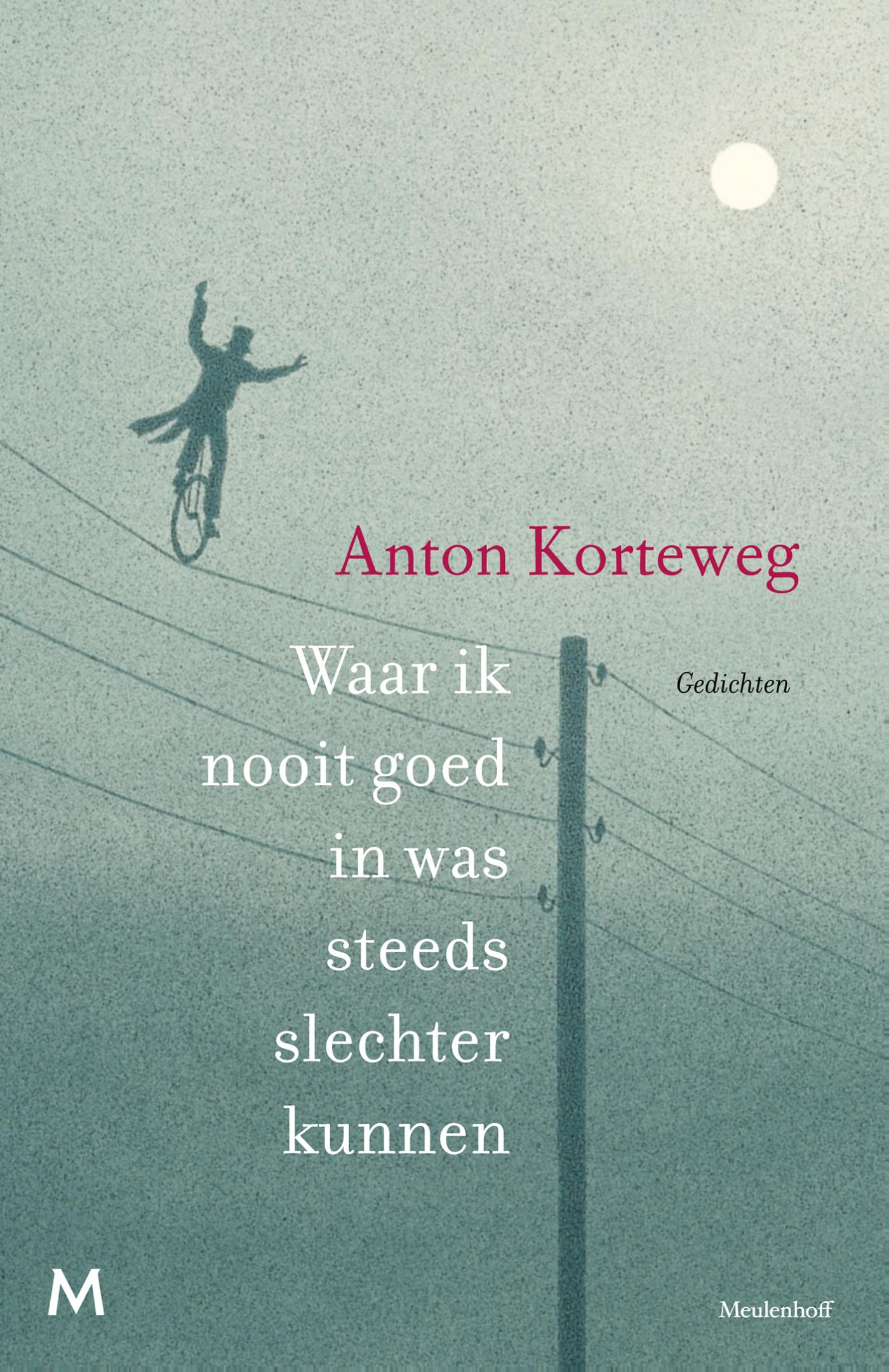 Omslag van Waar ik nooit goed in was steeds slechter kunnen