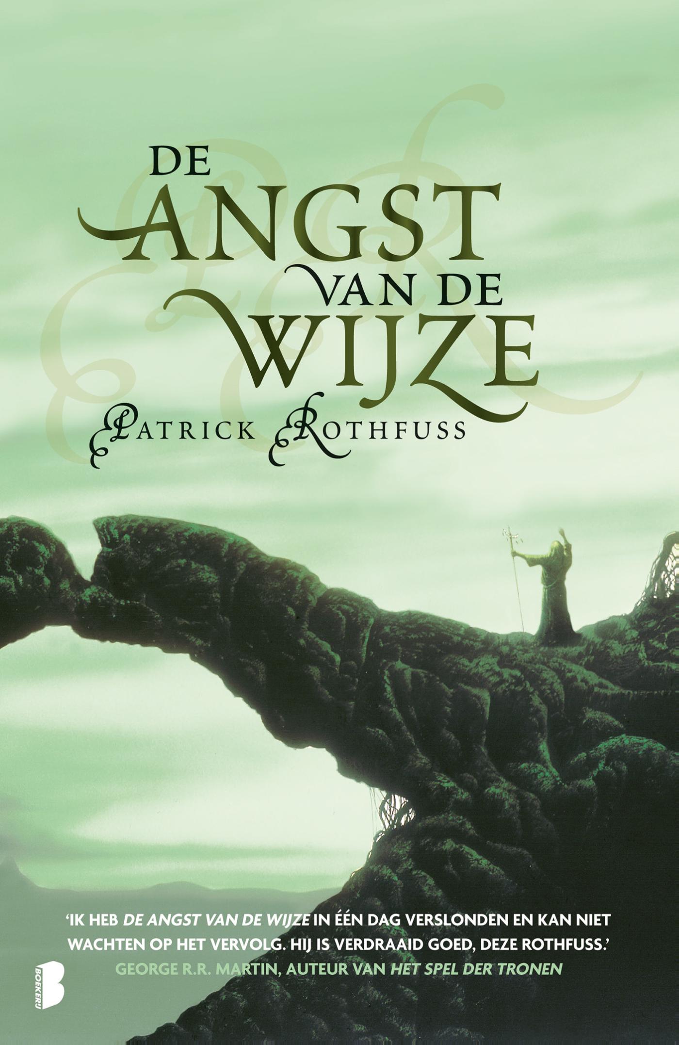 Omslag van De angst van de wijze