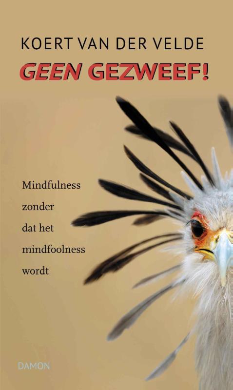 Omslag van Geen gezweef!