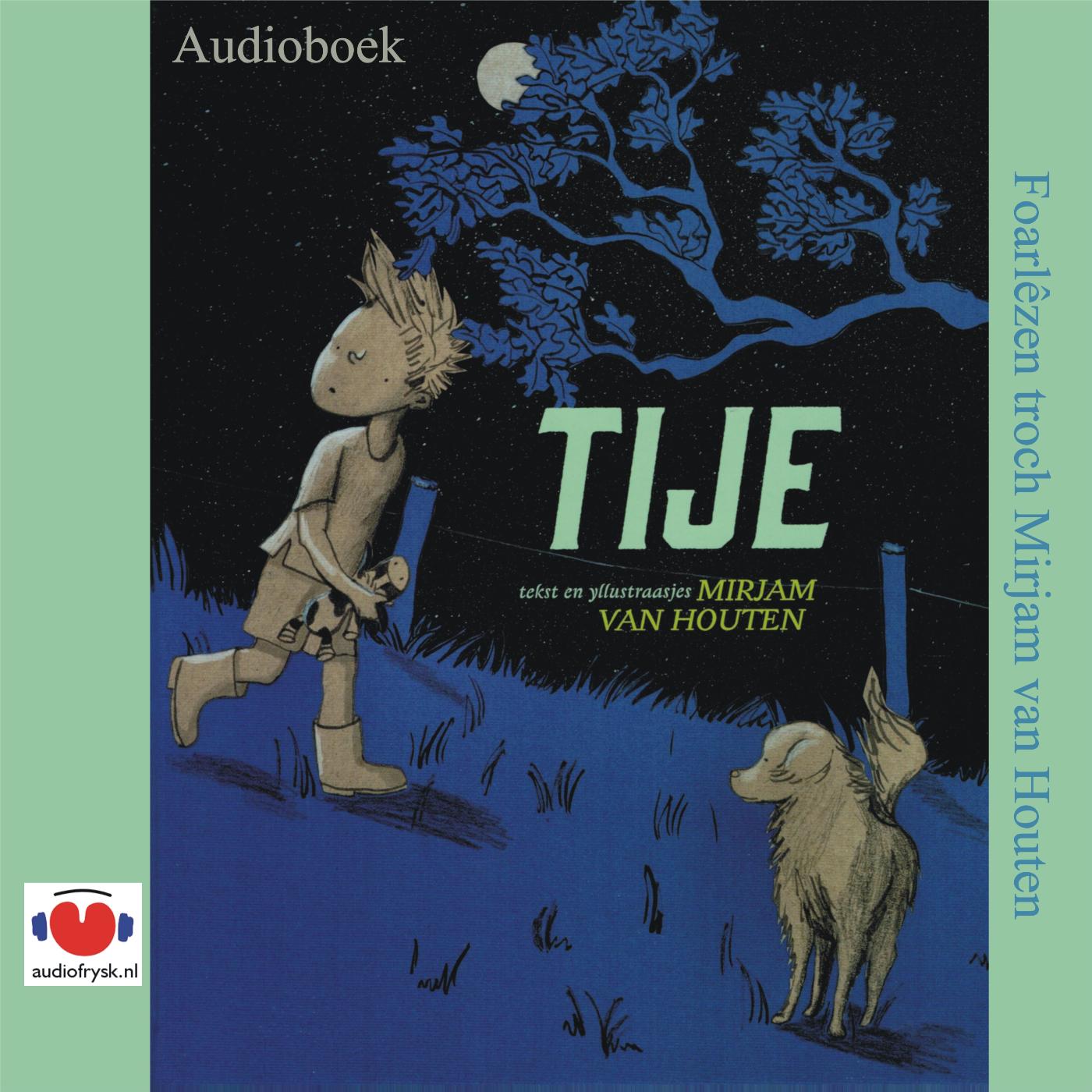 Omslag van Tije