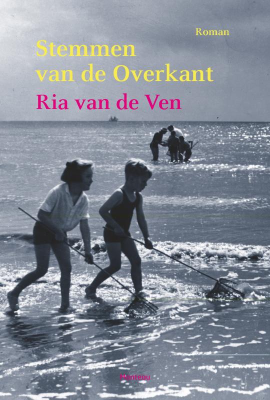 Omslag van Stemmen van de overkant