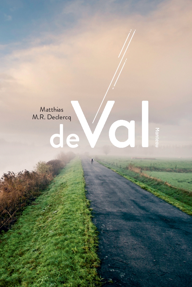 Omslag van De val