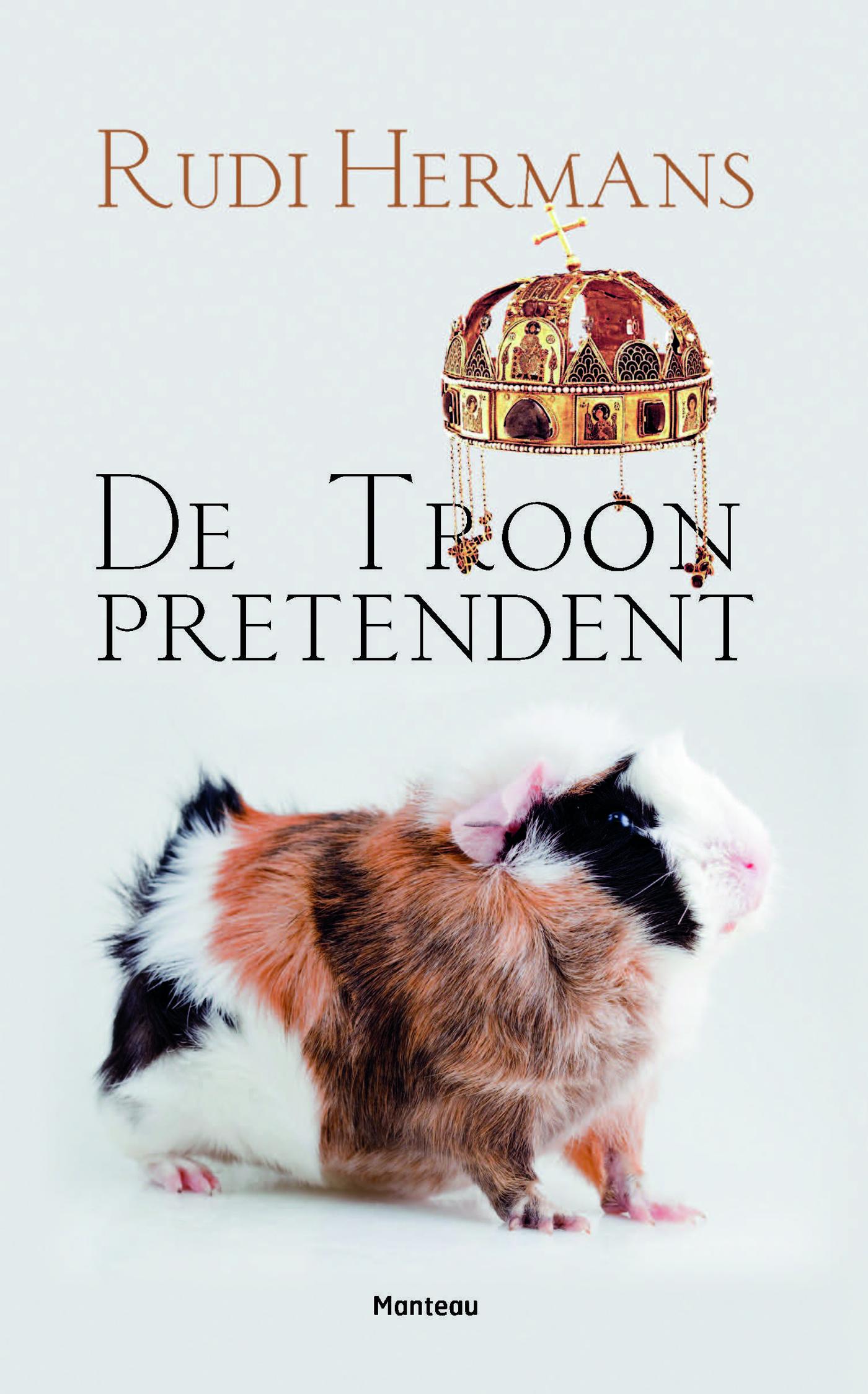 Omslag van De troonpretendent