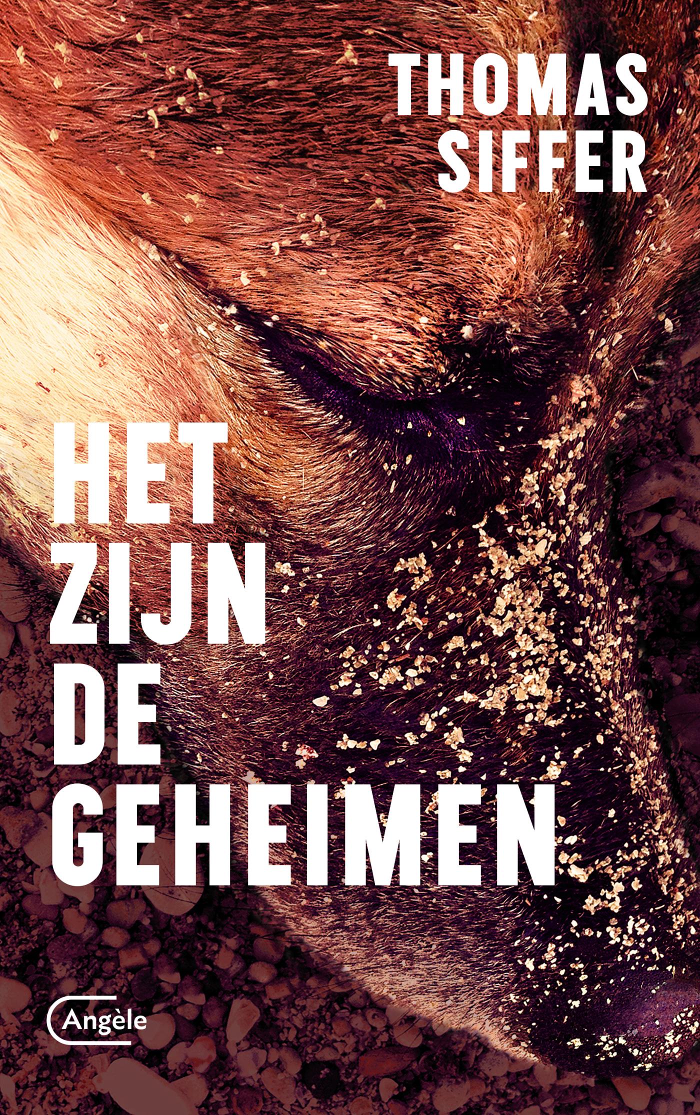 Omslag van Het zijn de geheimen