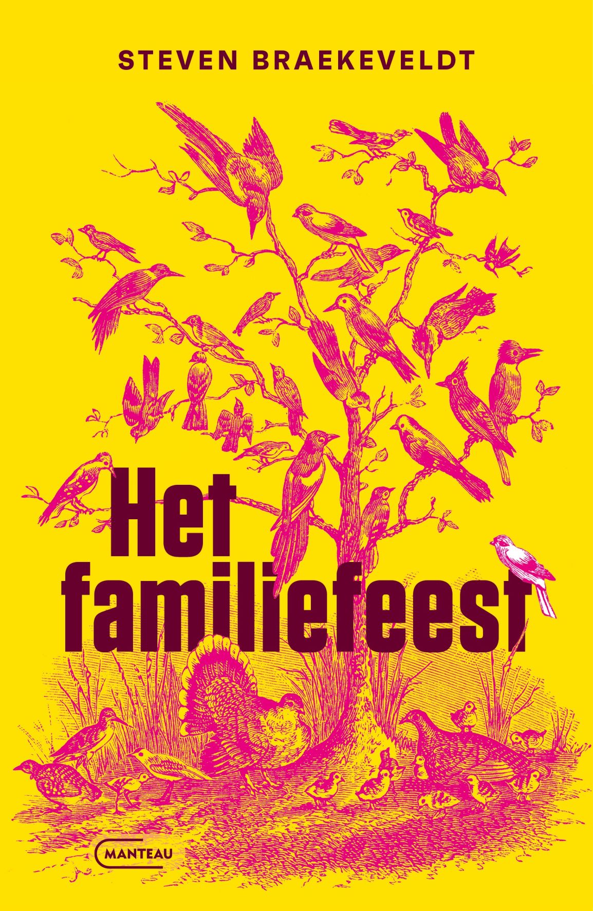 Omslag van Het familiefeest