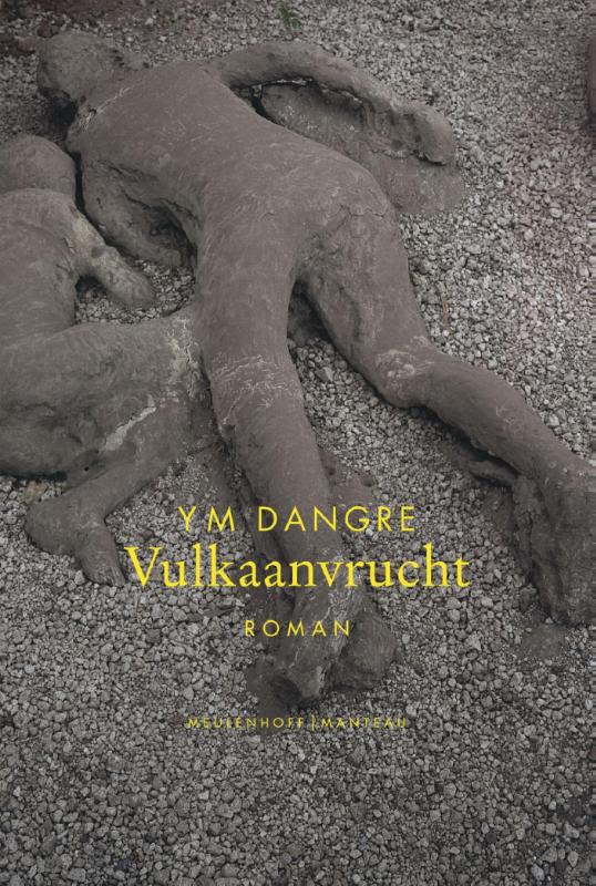 Omslag van Vulkaanvrucht