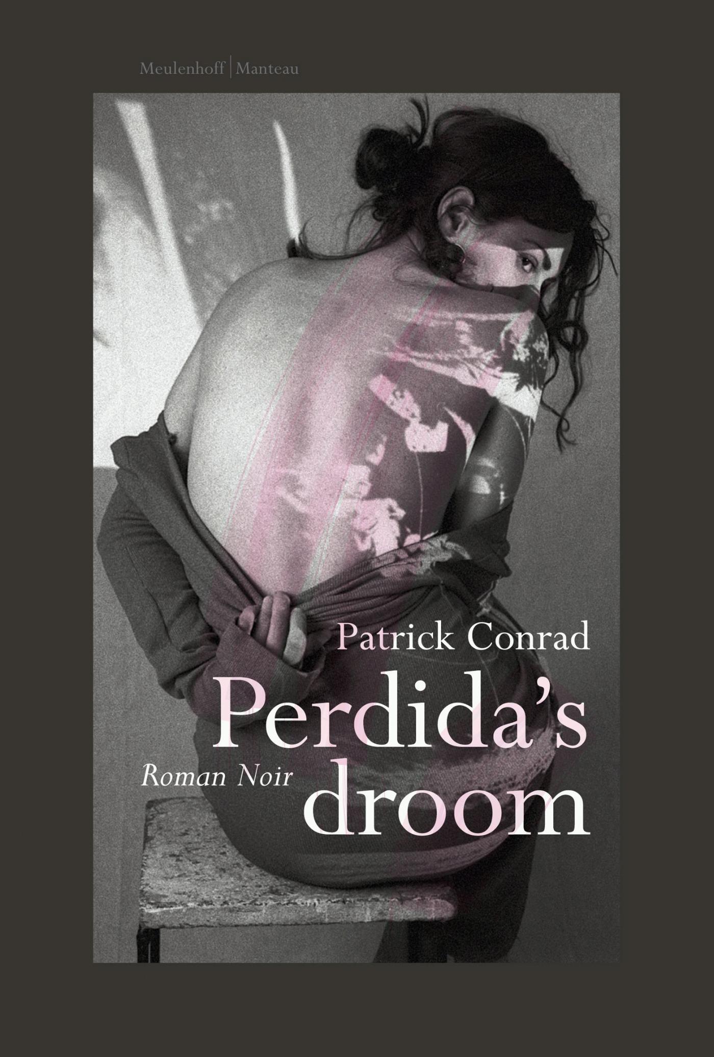 Omslag van Perdida's droom