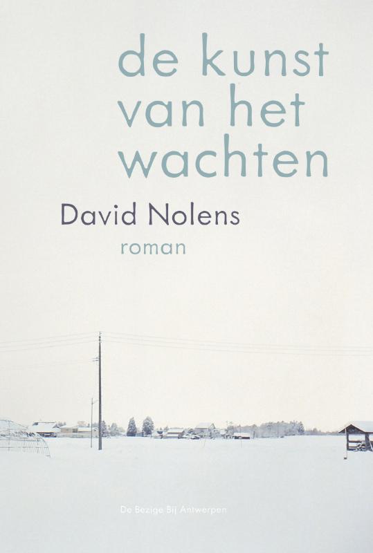 Omslag van De kunst van het wachten
