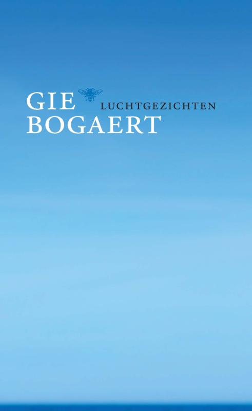 Omslag van Luchtgezichten