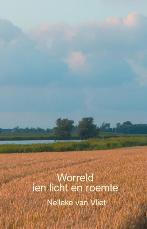 Omslag van Worreld ien licht en roemte