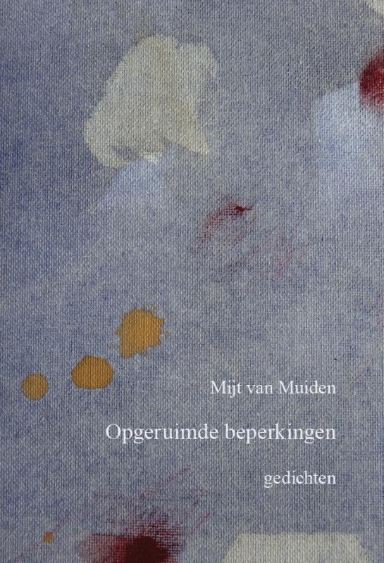 Omslag van Opgeruimde beperkingen
