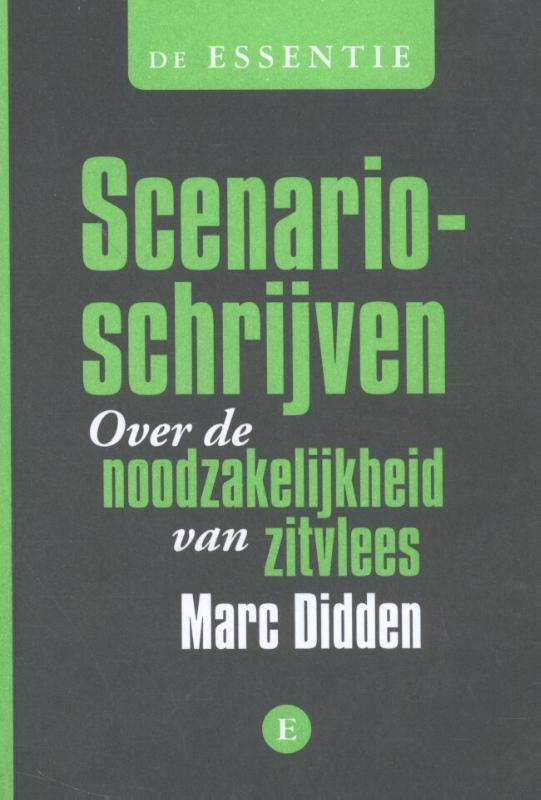 Omslag van Scenario schrijven