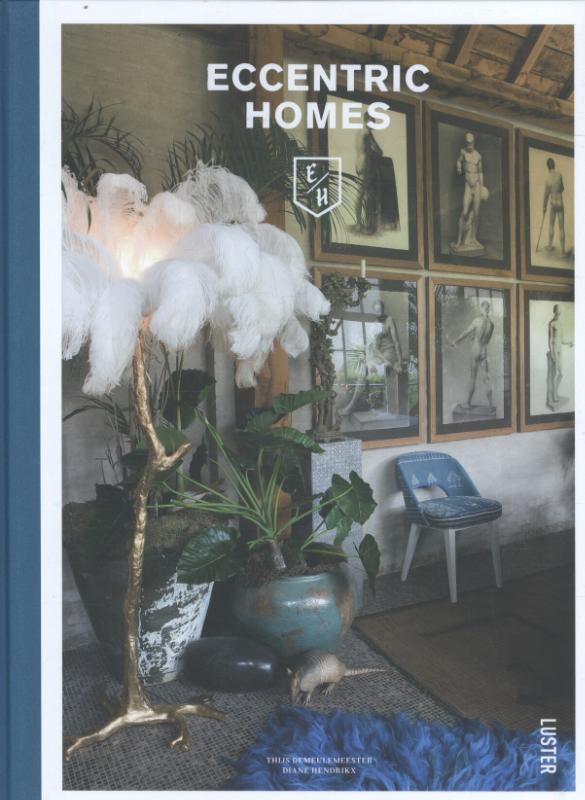 Omslag van Eccentric homes - Belgique excentrique